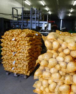 Distribucion y venta de patatas .